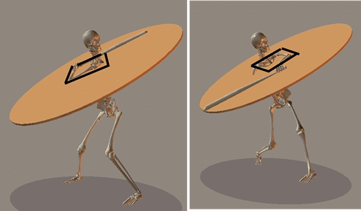 skeletonbox